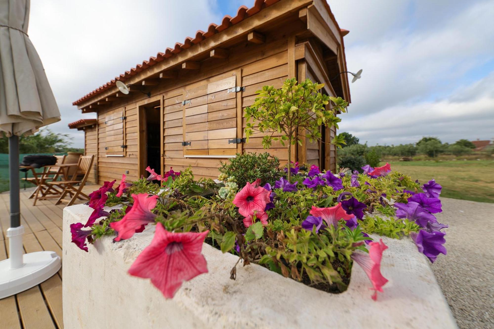 Renovated Wine Press House - With Pool Villa Porto de Mós Rom bilde